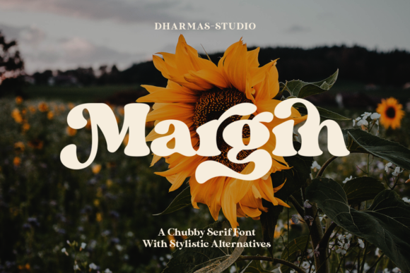 Margin: A Serif Font Blending Classic Charm with Modern Edge